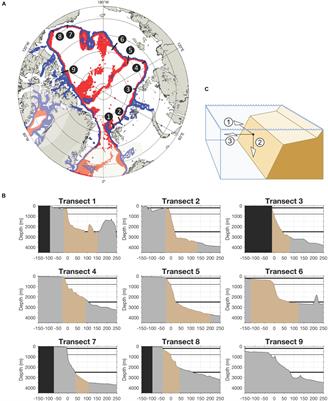 The Pan-Arctic Continental Slope: Sharp Gradients of Physical Processes Affect Pelagic and Benthic Ecosystems